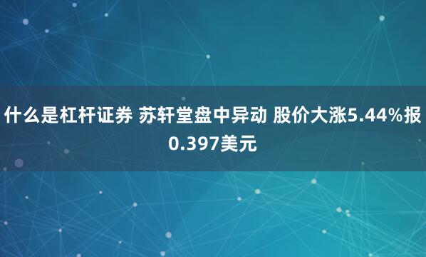 什么是杠杆证券 苏轩堂盘中异动 股价大涨5.44%报0.397美元