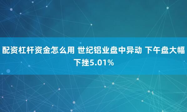 配资杠杆资金怎么用 世纪铝业盘中异动 下午盘大幅下挫5.01%