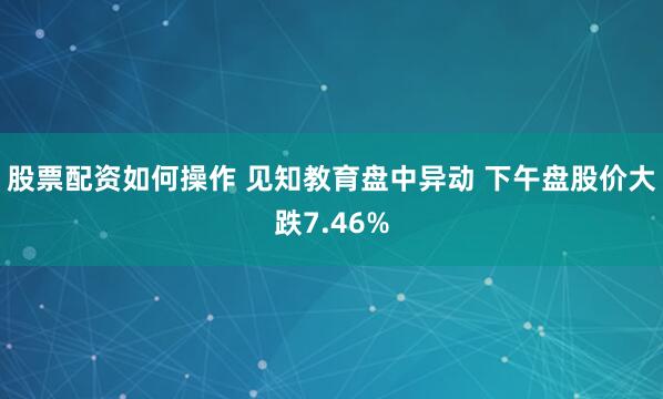 股票配资如何操作 见知教育盘中异动 下午盘股价大跌7.46%