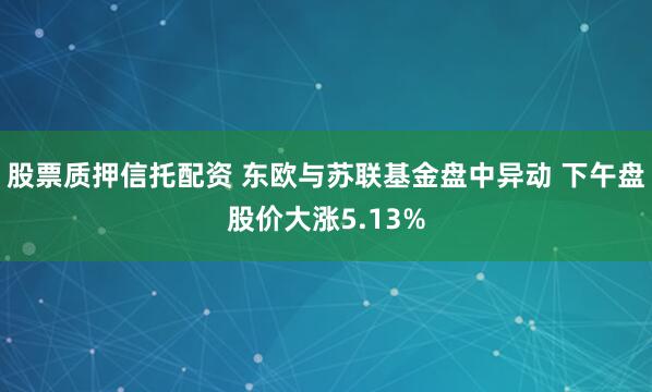 股票质押信托配资 东欧与苏联基金盘中异动 下午盘股价大涨5.13%