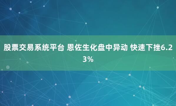 股票交易系统平台 恩佐生化盘中异动 快速下挫6.23%