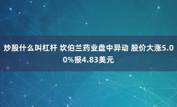 炒股什么叫杠杆 坎伯兰药业盘中异动 股价大涨5.00%报4.83美元