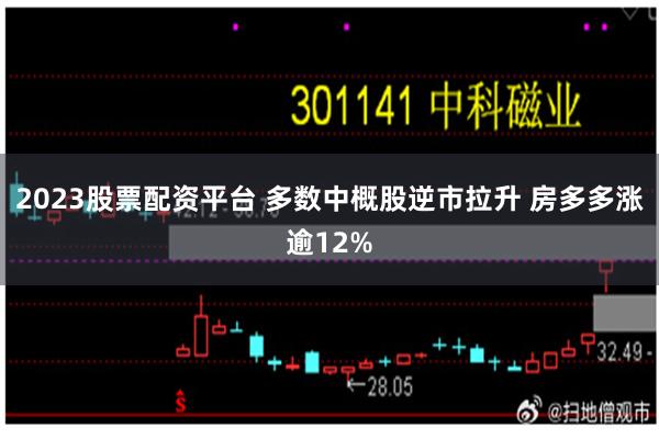 2023股票配资平台 多数中概股逆市拉升 房多多涨逾12%