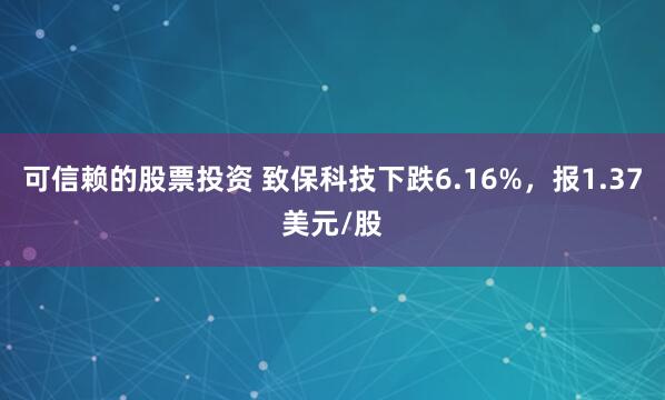 可信赖的股票投资 致保科技下跌6.16%，报1.37美元/股