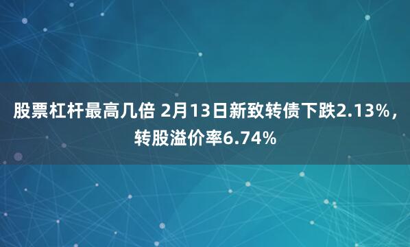 股票杠杆最高几倍 2月13日新致转债下跌2.13%，转股溢价率6.74%