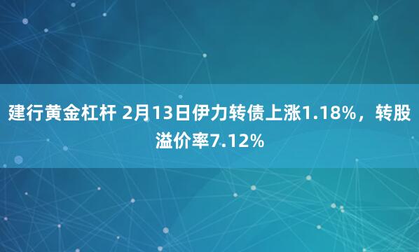 建行黄金杠杆 2月13日伊力转债上涨1.18%，转股溢价率7.12%