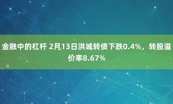 金融中的杠杆 2月13日洪城转债下跌0.4%，转股溢价率8.67%