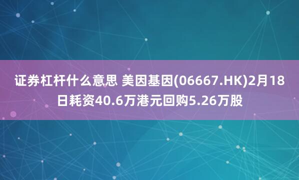 证券杠杆什么意思 美因基因(06667.HK)2月18日耗资40.6万港元回购5.26万股