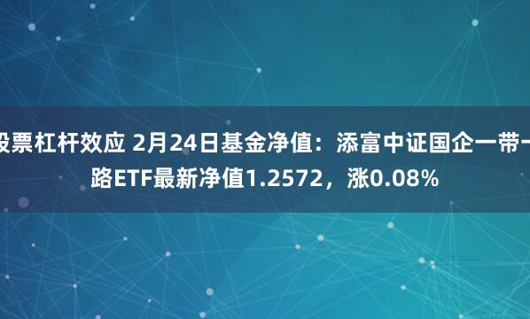 股票杠杆效应 2月24日基金净值：添富中证国企一带一路ETF最新净值1.2572，涨0.08%