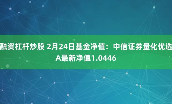 融资杠杆炒股 2月24日基金净值：中信证券量化优选A最新净值1.0446