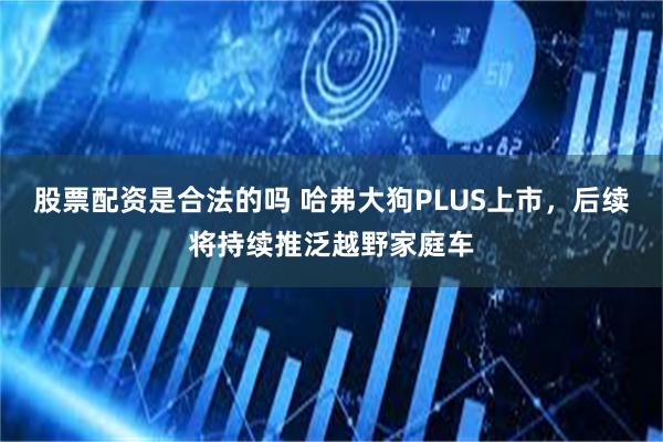 股票配资是合法的吗 哈弗大狗PLUS上市，后续将持续推泛越野家庭车