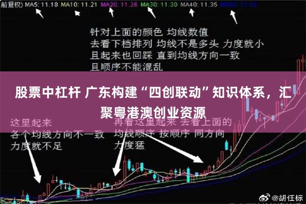 股票中杠杆 广东构建“四创联动”知识体系，汇聚粤港澳创业资源