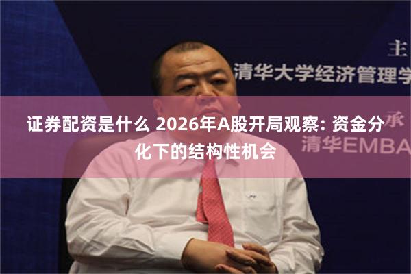证券配资是什么 2026年A股开局观察: 资金分化下的结构性机会