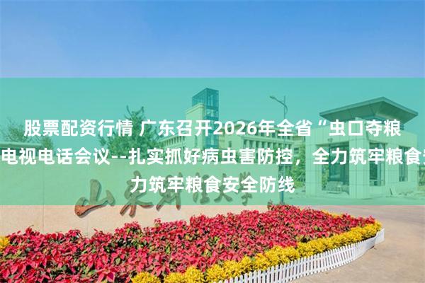 股票配资行情 广东召开2026年全省“虫口夺粮”保丰收电视电话会议--扎实抓好病虫害防控，全力筑牢粮食安全防线