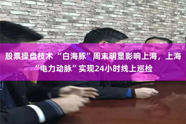 股票操盘技术 “白海豚”周末明显影响上海，上海“电力动脉”实现24小时线上巡检